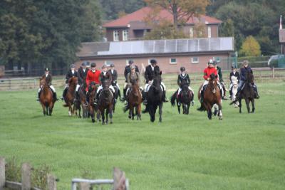 Foto des Albums: Herbstjagd 2013