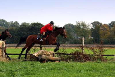 Foto des Albums: Herbstjagd 2013