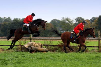 Foto des Albums: Herbstjagd 2013