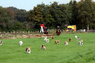 Foto des Albums: Herbstjagd 2013