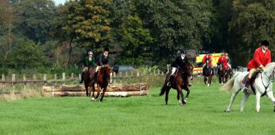 Foto des Albums: Herbstjagd 2013