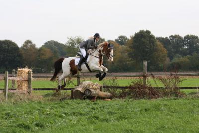 Foto des Albums: Herbstjagd 2013