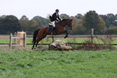 Foto des Albums: Herbstjagd 2013