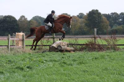 Foto des Albums: Herbstjagd 2013