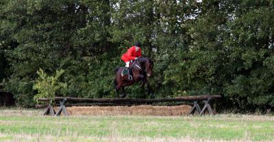 Foto des Albums: Herbstjagd 2013