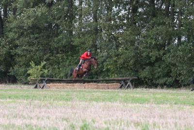 Foto des Albums: Herbstjagd 2013