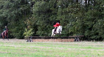 Foto des Albums: Herbstjagd 2013