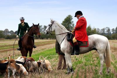 Foto des Albums: Herbstjagd 2013