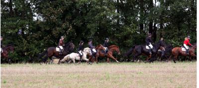 Foto des Albums: Herbstjagd 2013