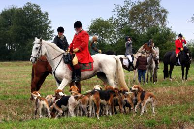 Foto des Albums: Herbstjagd 2013