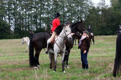 Foto des Albums: Herbstjagd 2013