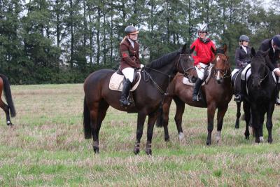 Foto des Albums: Herbstjagd 2013