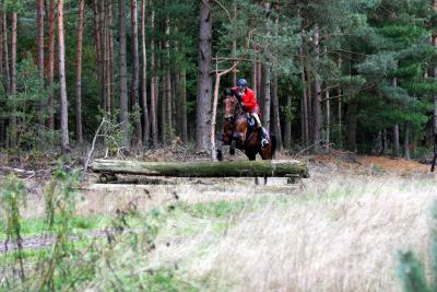 Foto des Albums: Herbstjagd 2013