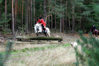 Foto des Albums: Herbstjagd 2013