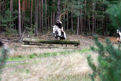 Foto des Albums: Herbstjagd 2013