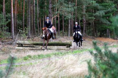 Foto des Albums: Herbstjagd 2013