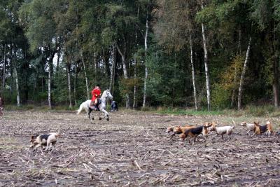 Foto des Albums: Herbstjagd 2013