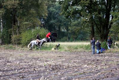 Foto des Albums: Herbstjagd 2013