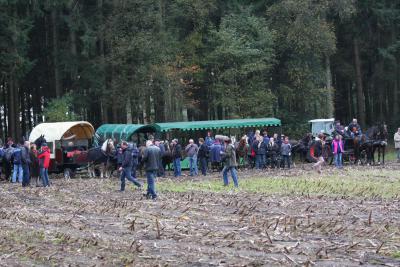 Foto des Albums: Herbstjagd 2013