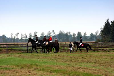 Foto des Albums: Herbstjagd 2013