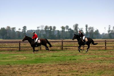 Foto des Albums: Herbstjagd 2013