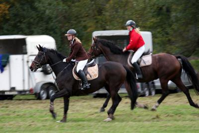 Foto des Albums: Herbstjagd 2013