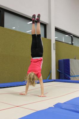 Foto des Albums: Turnen