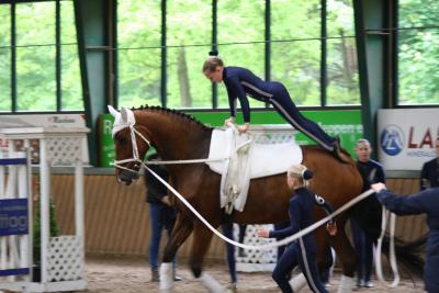 Foto des Albums: Turnier Meppen