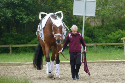 Foto des Albums: Turnier Meppen