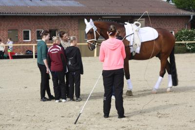 Foto des Albums: WEM Wietmarschen 2013