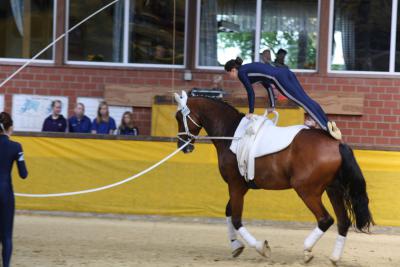 Foto des Albums: WEM Wietmarschen 2013