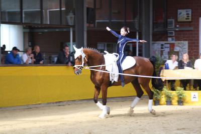 Foto des Albums: WEM Wietmarschen 2013