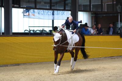 Foto des Albums: WEM Wietmarschen 2013