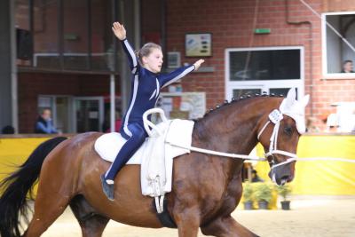 Foto des Albums: WEM Wietmarschen 2013