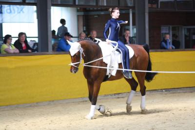 Foto des Albums: WEM Wietmarschen 2013