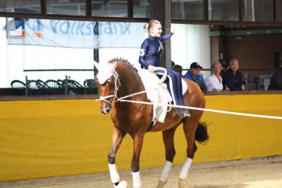 Foto des Albums: WEM Wietmarschen 2013