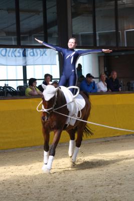 Foto des Albums: WEM Wietmarschen 2013