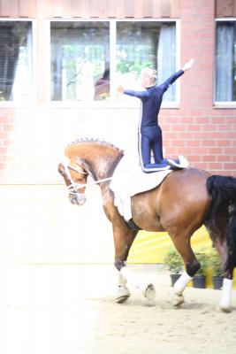 Foto des Albums: WEM Wietmarschen 2013