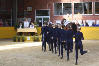 Foto des Albums: WEM Wietmarschen 2013