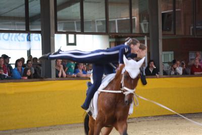 Foto des Albums: WEM Wietmarschen 2013