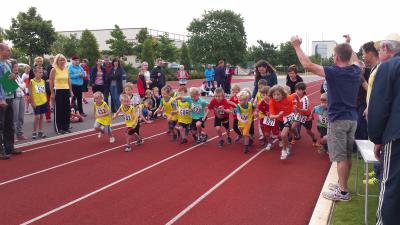 Foto des Albums: Schwedter Hasenlauf, 28.06.2014