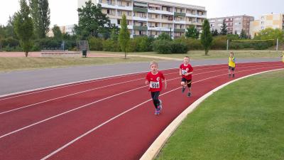 Foto des Albums: Schwedter Hasenlauf, 28.06.2014 (30.​06.​2014)