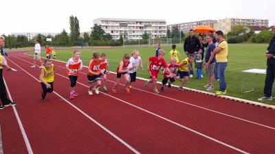 Foto des Albums: Schwedter Hasenlauf, 28.06.2014