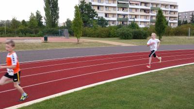 Foto des Albums: Schwedter Hasenlauf, 28.06.2014