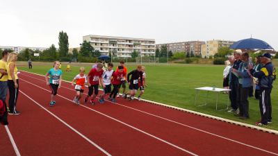 Foto des Albums: Schwedter Hasenlauf, 28.06.2014
