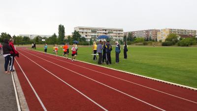 Foto des Albums: Schwedter Hasenlauf, 28.06.2014