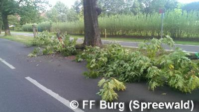 Foto des Albums: Einsatz Nr. 84/2014 - Fahrbahn blockiert