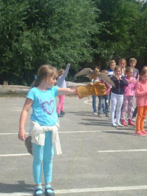 Foto des Albums: Aktionstage: Falkner und Imker zu Besuch