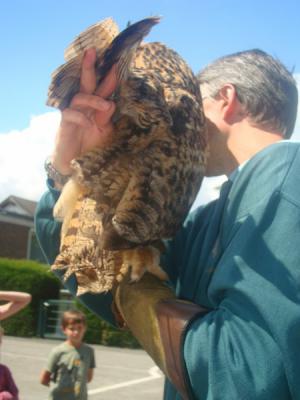 Foto des Albums: Aktionstage: Falkner und Imker zu Besuch