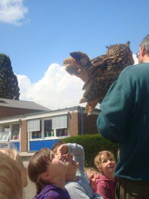 Foto des Albums: Aktionstage: Falkner und Imker zu Besuch